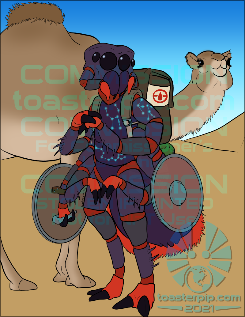 toasterpip commission illustration spider jumping_spider druid D&D DnD